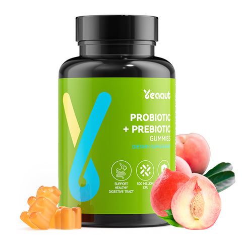 Probiotic + Prebiotic Gummies | 500 Million CFUs & Fiber | Supports Digestive Health & Immunity | 60 Gummies